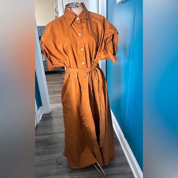 ZARA TOFFEE BROWN POPLIN COTTON BELTED MIDI MAXI SHIRT DRESS TORTOISE SHELL - Picture 2 of 9